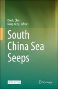 Image of South China Sea Seeps